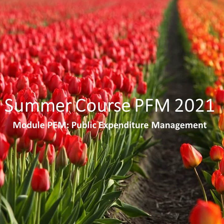 Summer Course PEM image